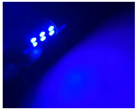 GP Xteme 1031 Dome MAP Inside Festoon 6 BLUE Led Bulbs GP-1031-SMD-6B - GP Lights USA