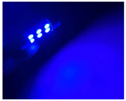 GP Xteme 1031 Dome MAP Inside Festoon 6 BLUE Led Bulbs GP-1031-SMD-6B - GP Lights USA