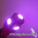 194 168 2825 W5W 5 SMD LED Wedge Violet Light bulbs 
