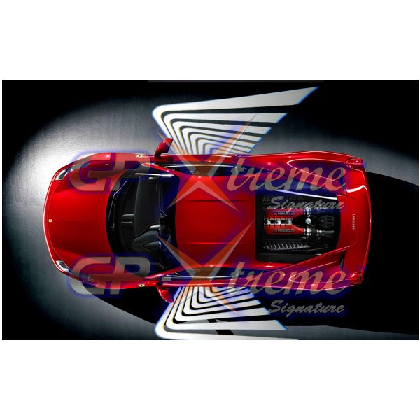 12-24V Angel Wings Car LED Light - 5 Single Colors Optional